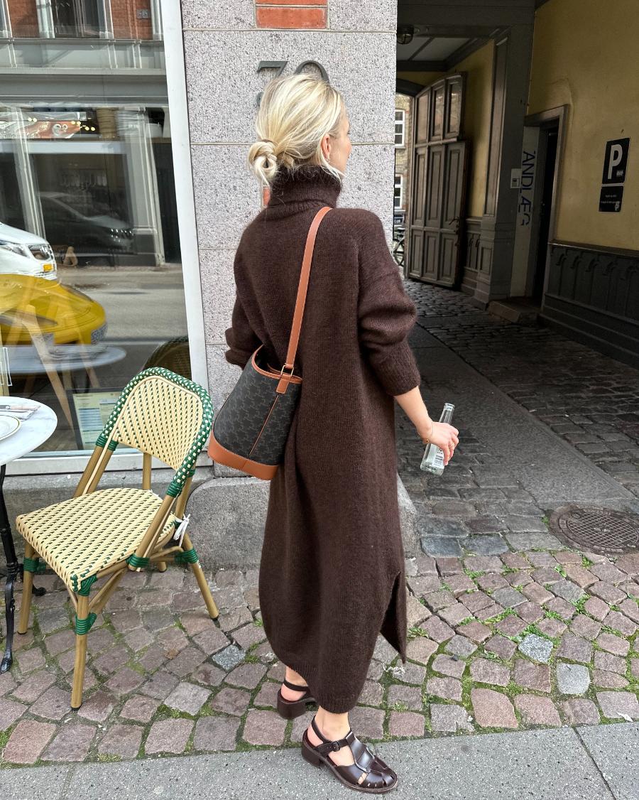 Chestnut Dress - Image 2