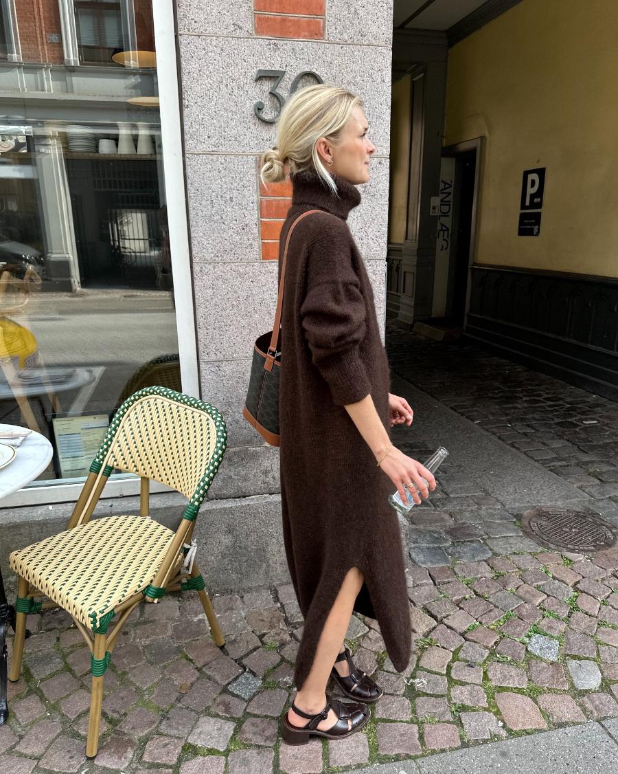 Chestnut Dress - Image 4