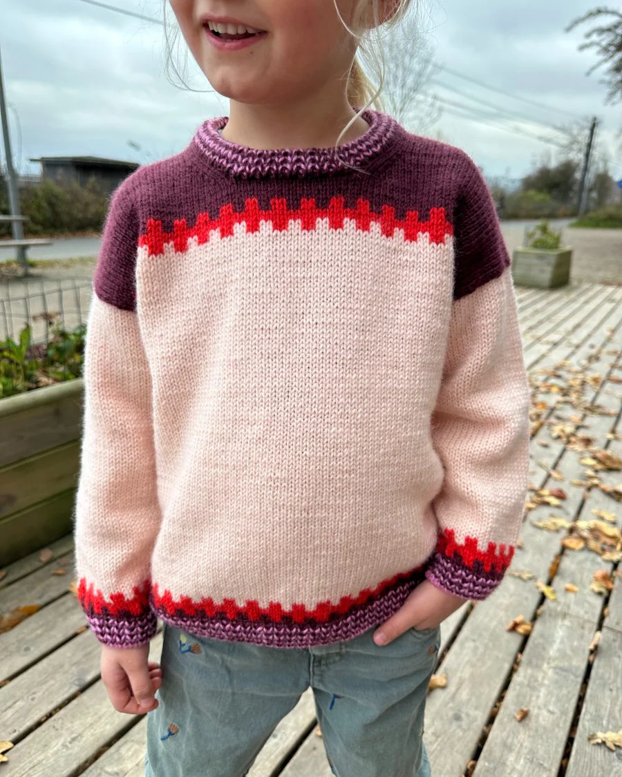 Cross Sweater Junior - Image 5